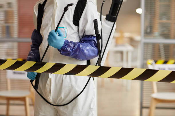 Professional Sewage Cleanup technician working in Blue Ridge, TX